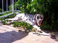 /album/fotky1/img-5069-jpg/