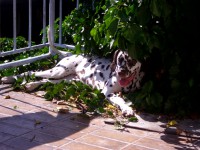 /album/fotky1/img-5070-jpg/